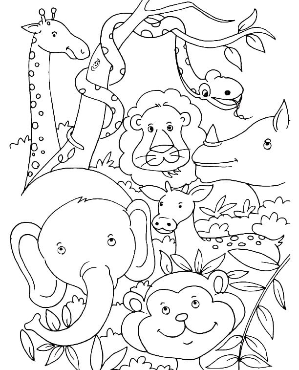 10 Jungle Animal Coloring Pages Free to Download