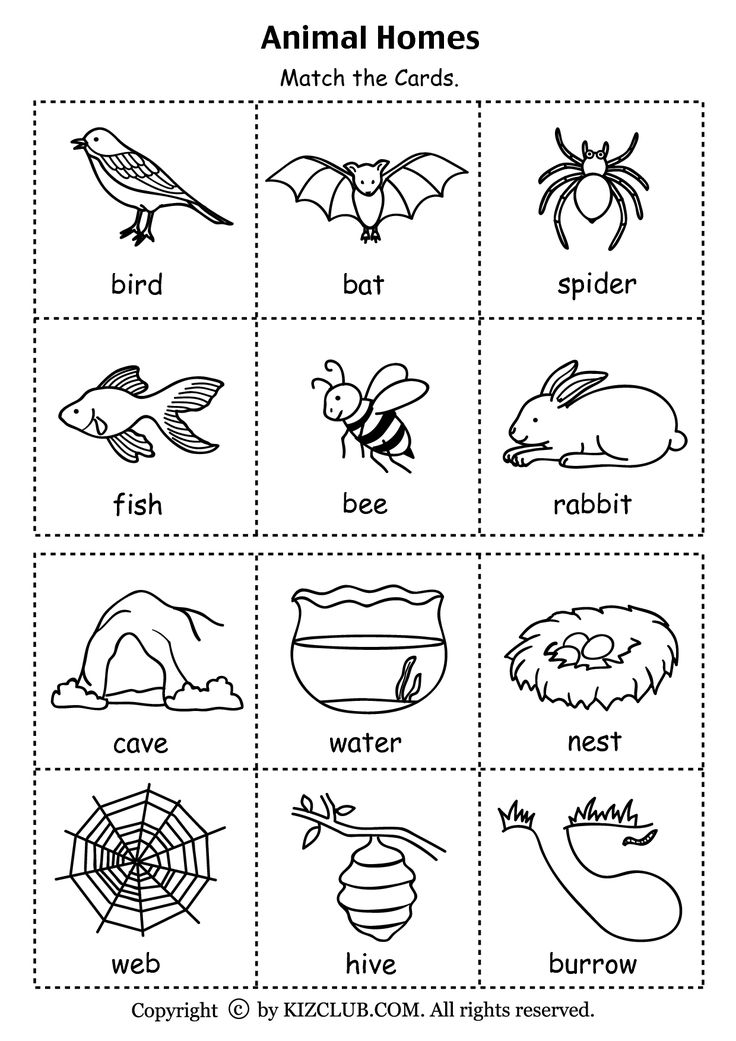 Animal Homes Coloring Pages Free Printable 13