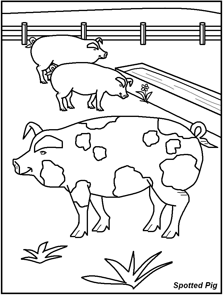 Animal Homes Coloring Pages Free Printable 15