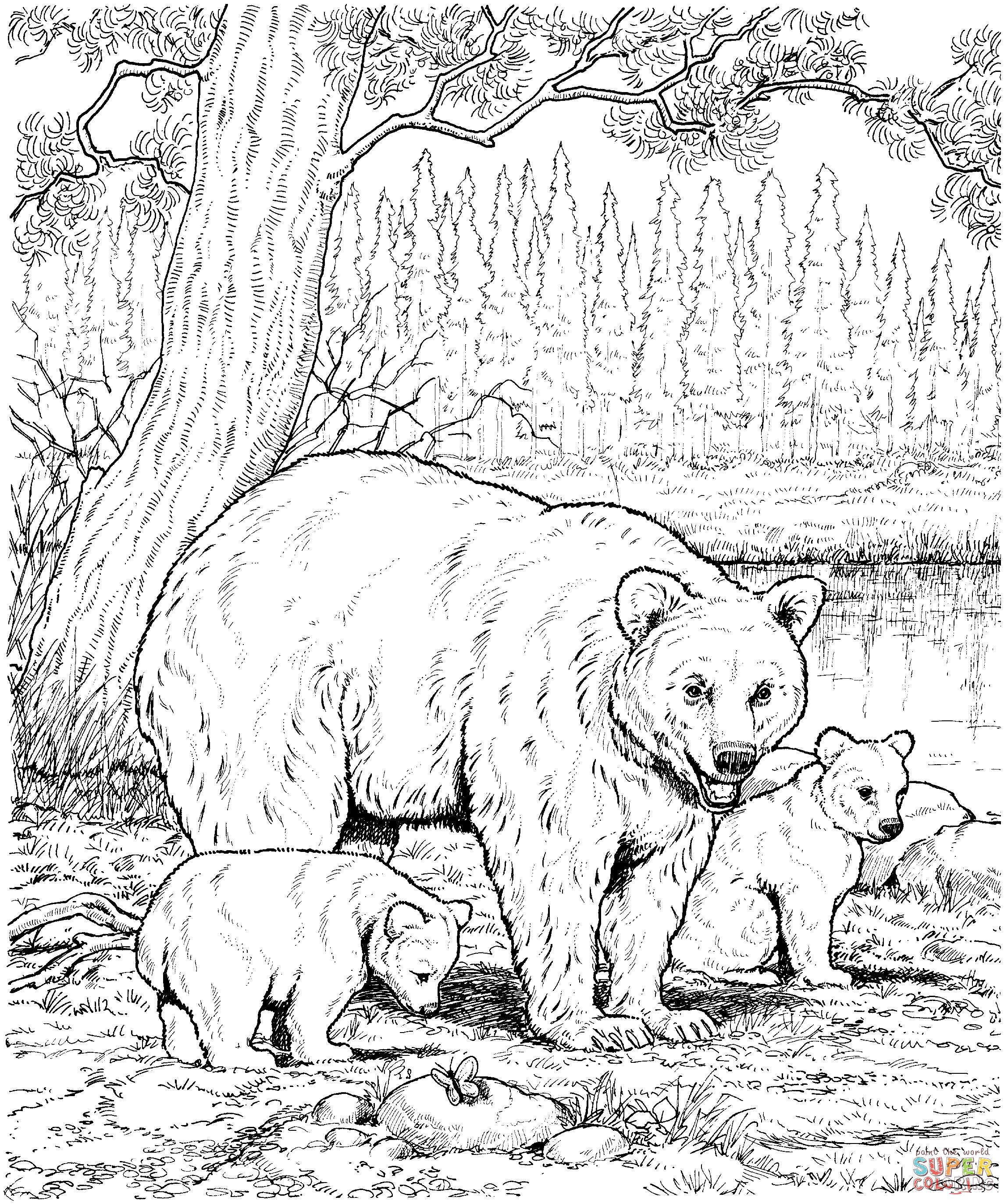 Animal Homes Coloring Pages Free Printable 16