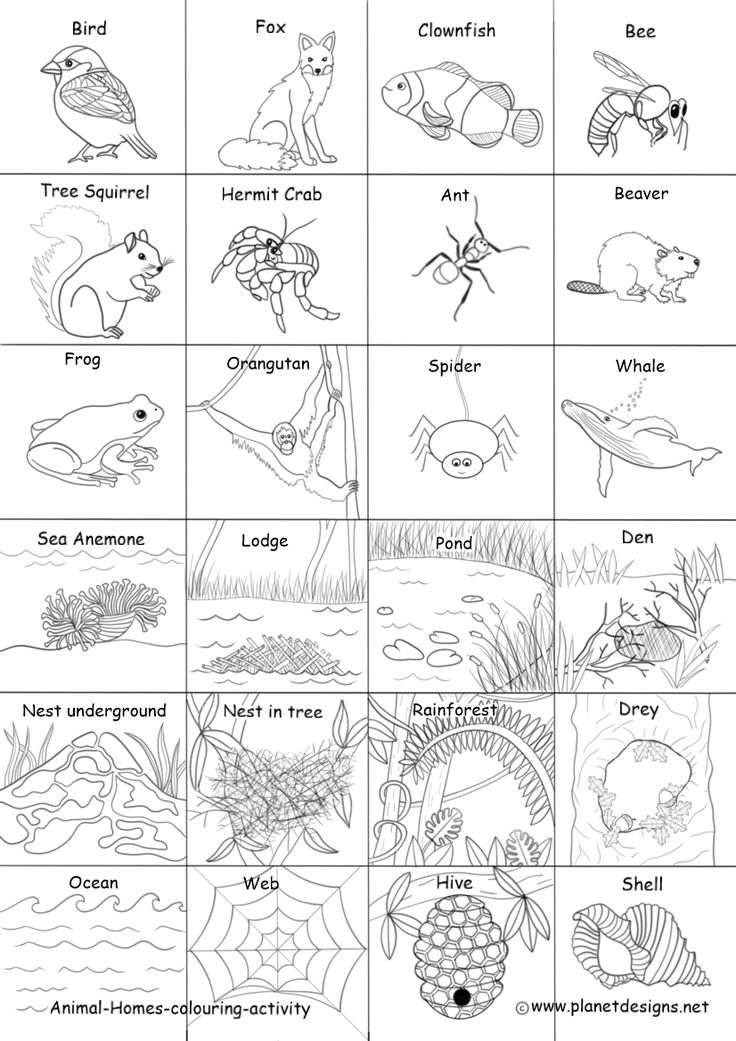 Animal Homes Coloring Pages Free Printable 9