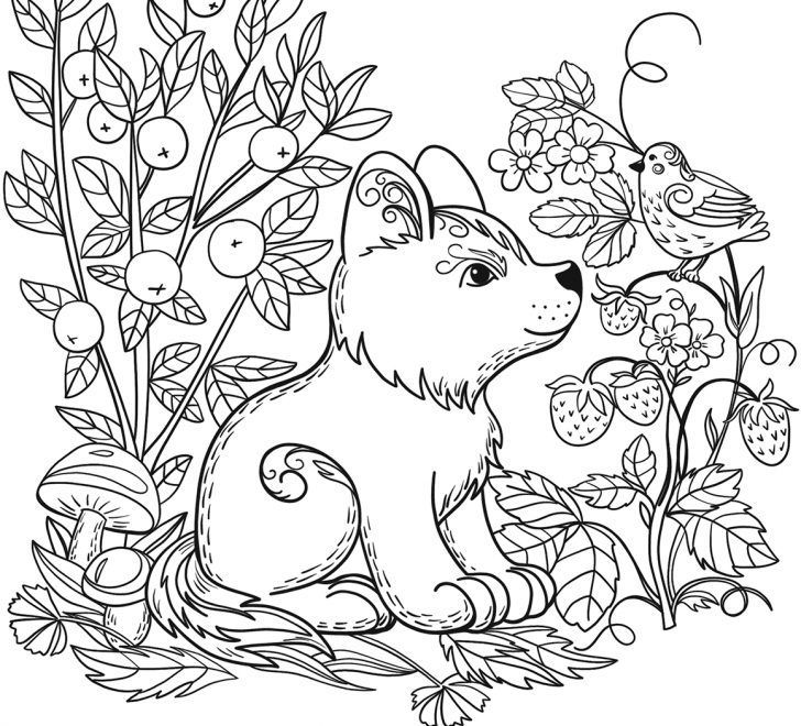 Animal Themed Coloring Pages Free Printable 12