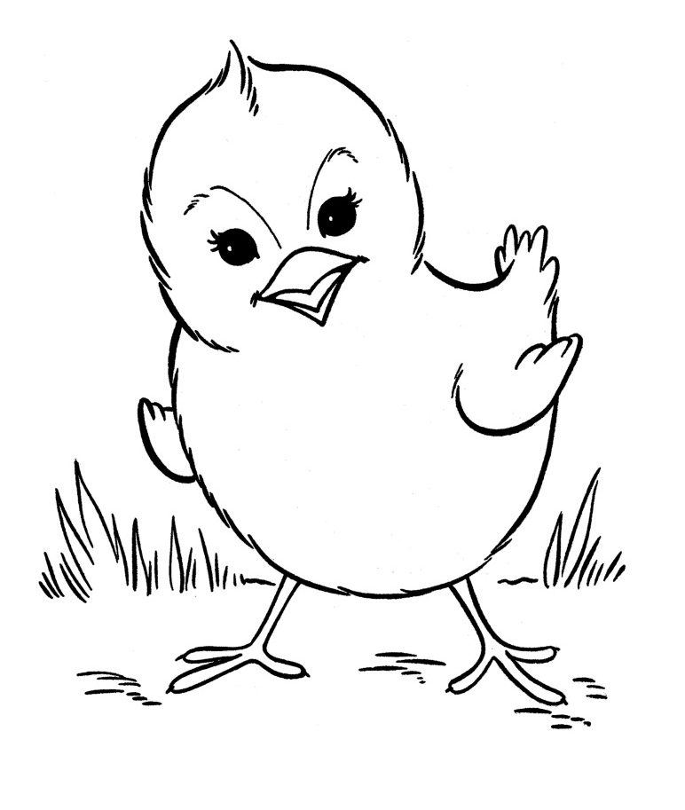 Domestic Animal Coloring Pages for Kids Free Printable 10