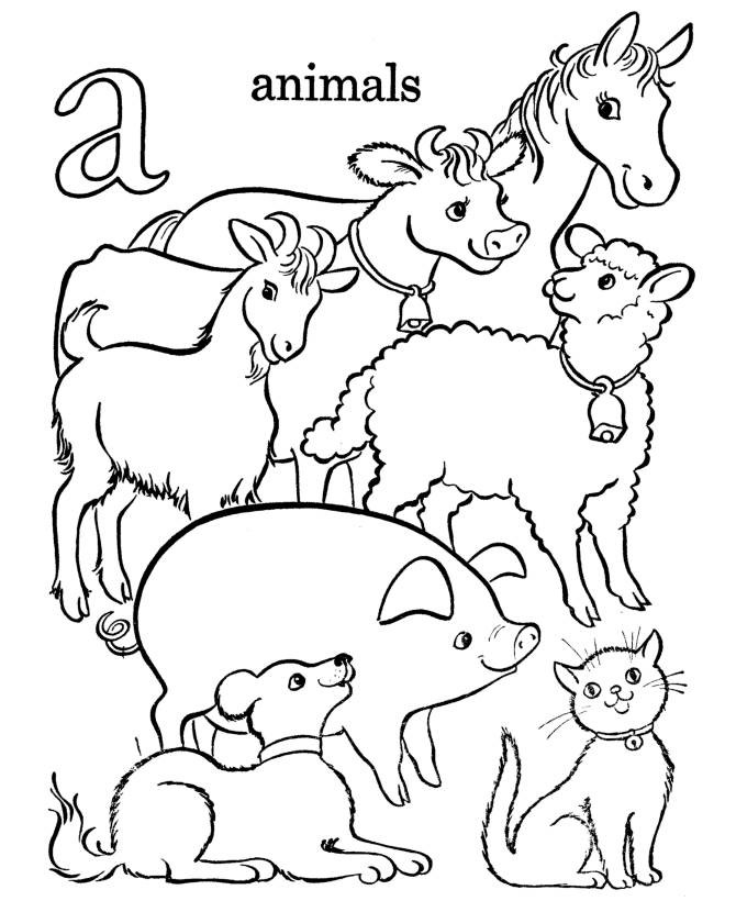 Domestic Animal Coloring Pages for Kids Free Printable 13