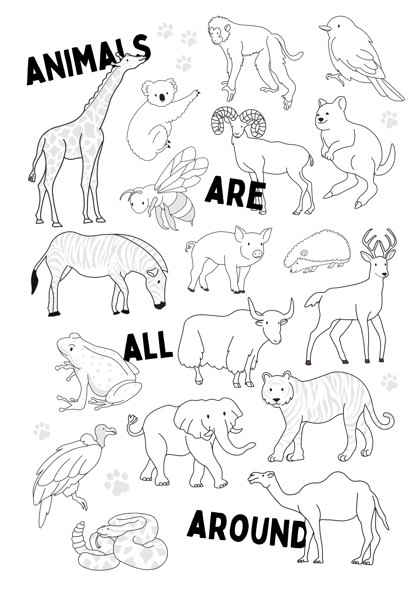 Domestic Animal Coloring Pages for Kids Free Printable 20