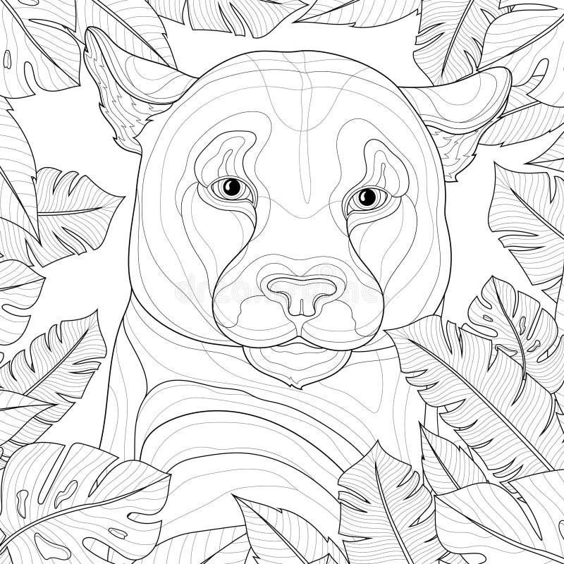 10 Tropical Animal Coloring Pages to Brighten Your Day