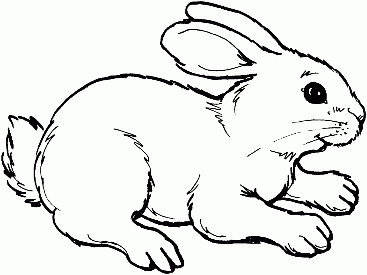 10 Rabbit Coloring Pages for Animal Lovers: Unleash Your Inner Artist