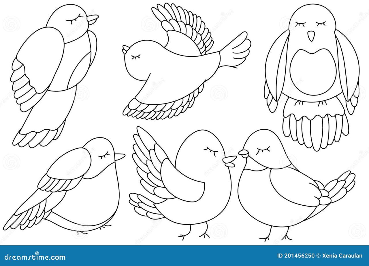 10 Simple Bird Outline Coloring Pages for All Ages