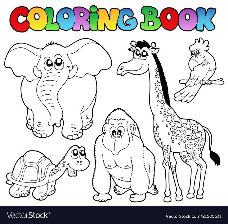 Tropical Animal Coloring Pages Free Printable 10