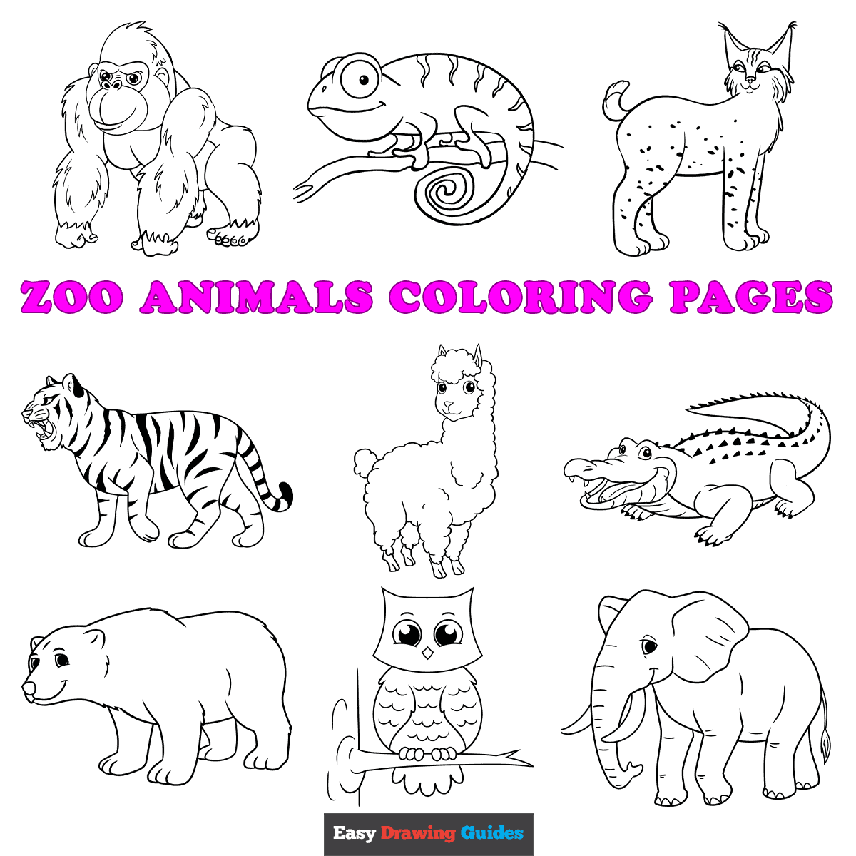 Tropical Animal Coloring Pages Free Printable 11