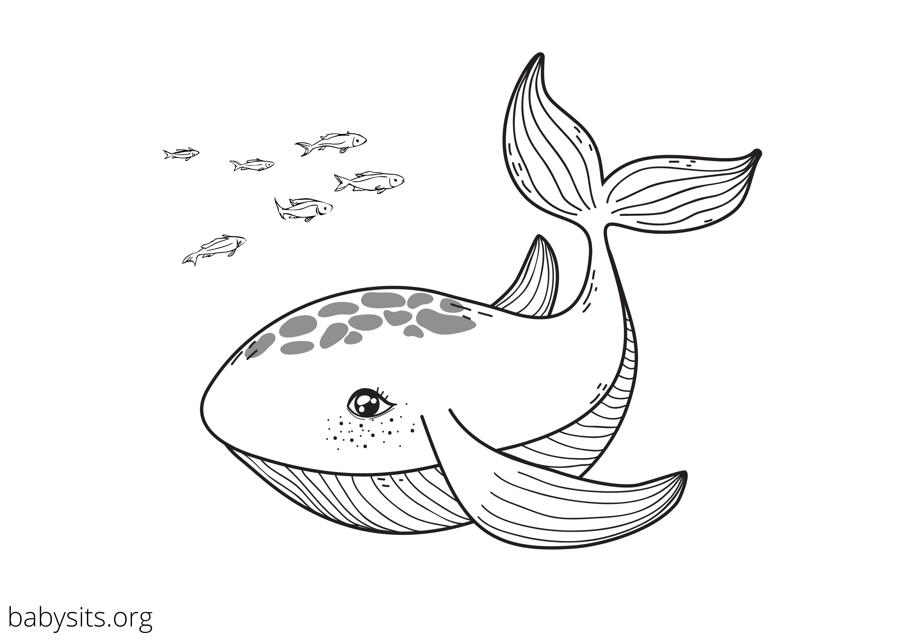 Tropical Animal Coloring Pages Free Printable 18