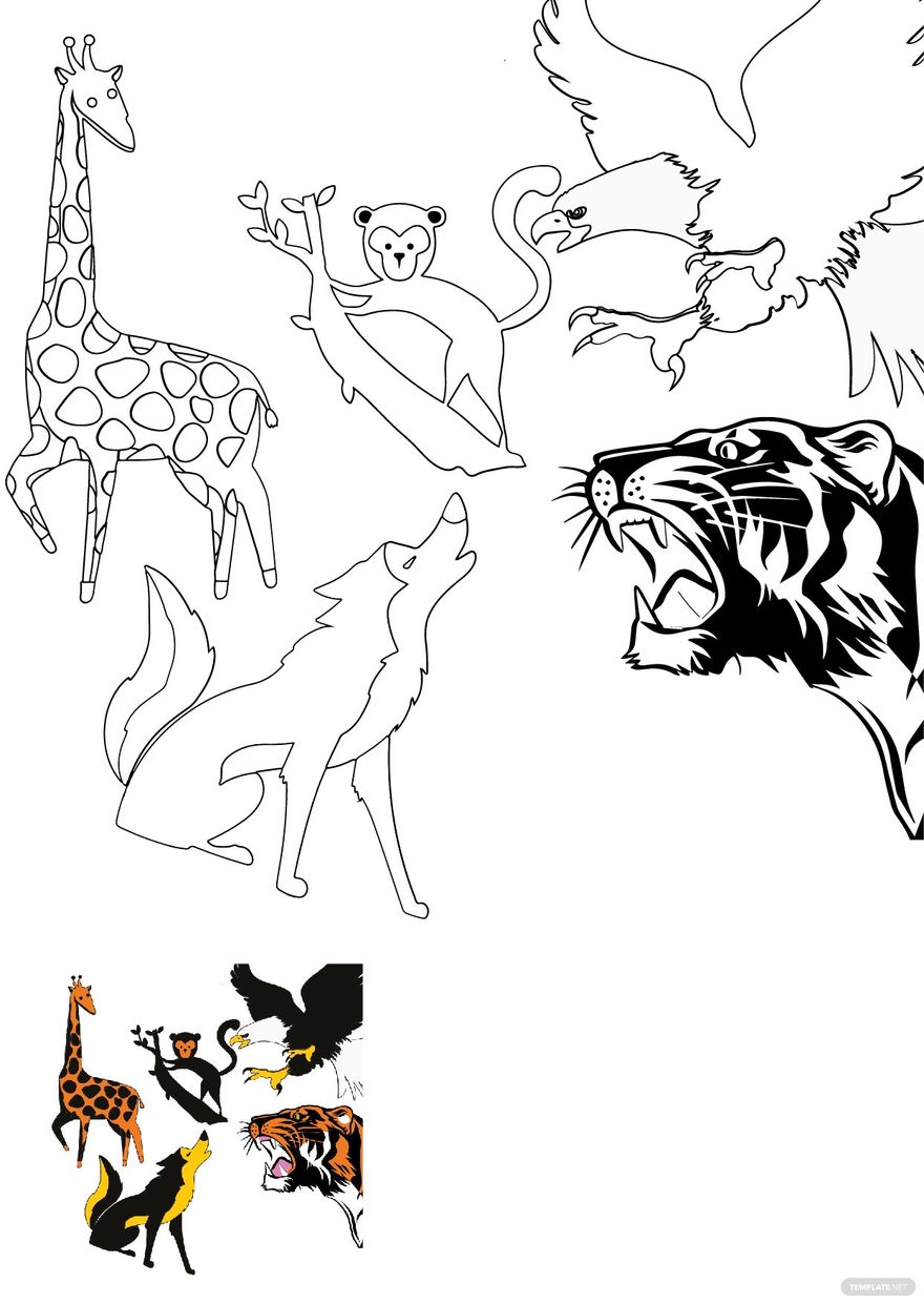 Tropical Animal Coloring Pages Free Printable 20