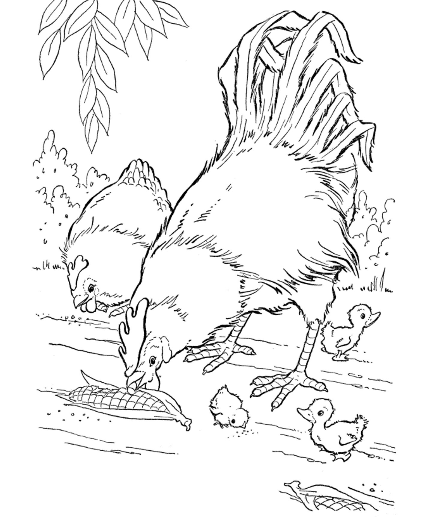 Tropical Animal Coloring Pages Free Printable 22