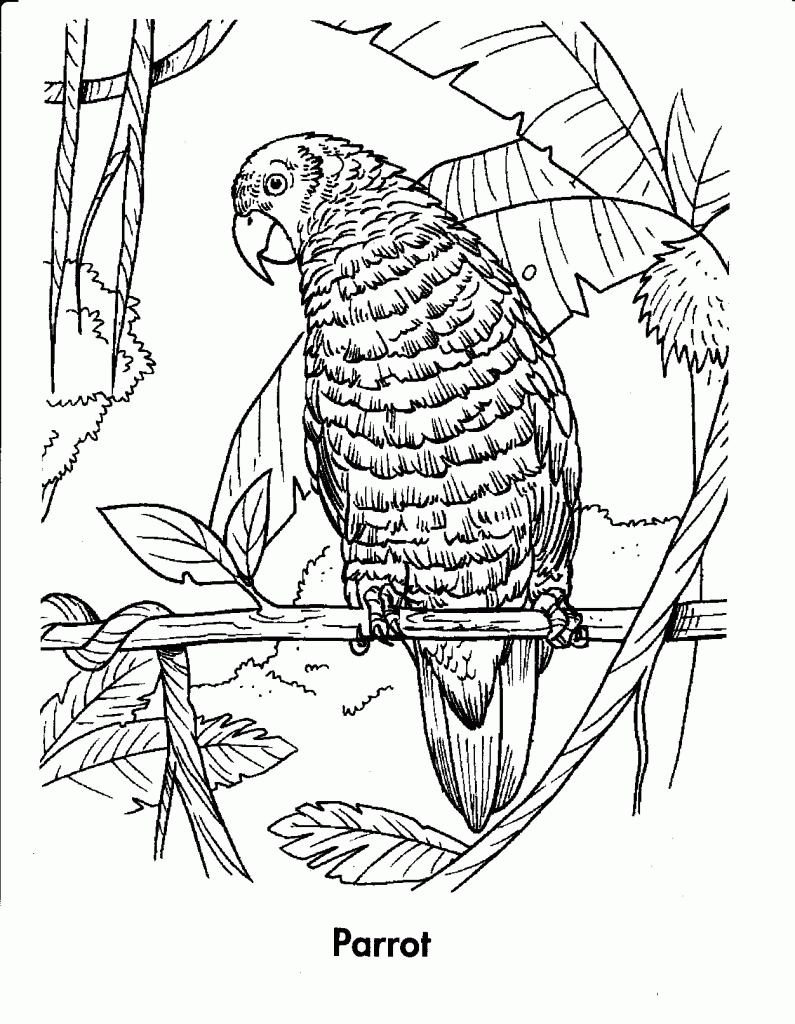 Tropical Animal Coloring Pages Free Printable 24