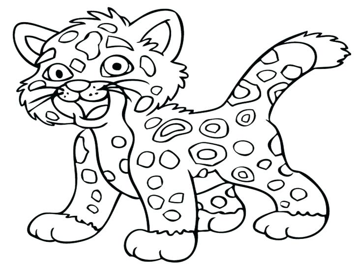 Tropical Animal Coloring Pages Free Printable 25