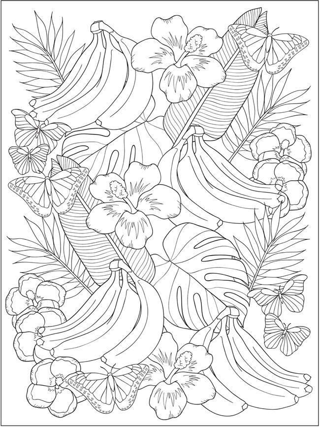 Tropical Animal Coloring Pages Free Printable 27