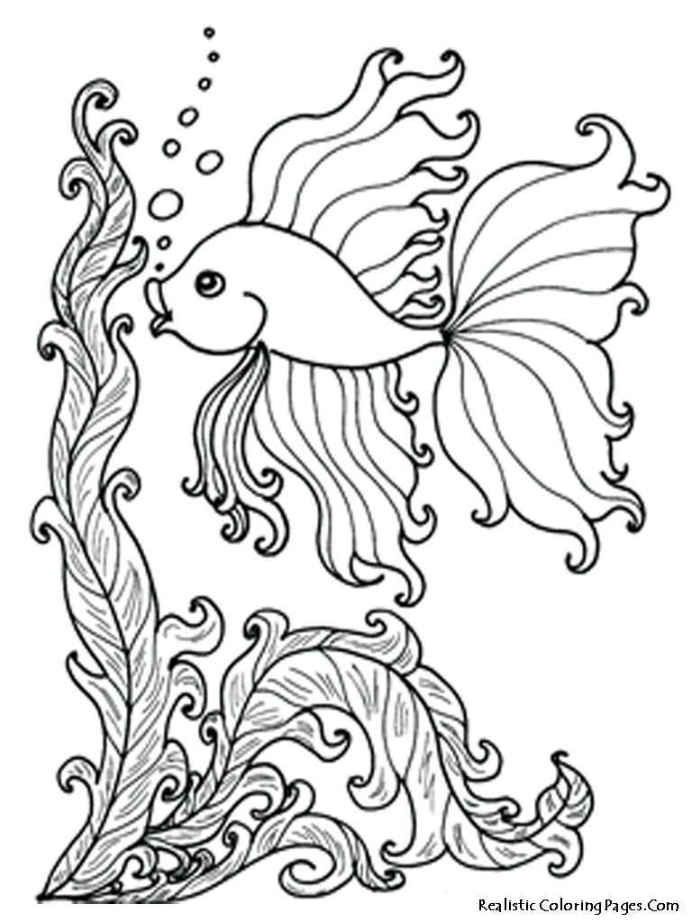 Tropical Animal Coloring Pages Free Printable 29