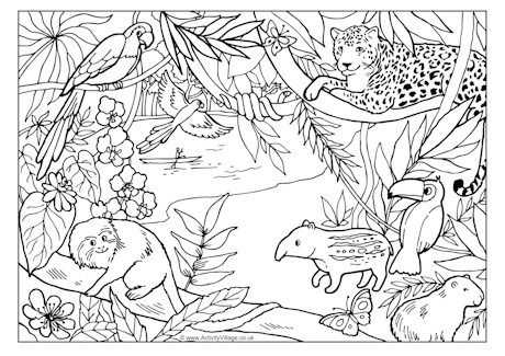 Tropical Animal Coloring Pages Free Printable 9